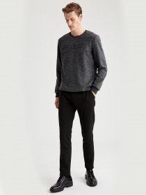 Свитшот DeFacto модель S9051AZ-AR94 Фото