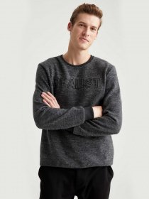 Свитшот DeFacto модель S9051AZ-AR94 Фото