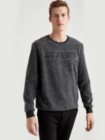 Свитшот DeFacto модель S9051AZ-AR94 Фото