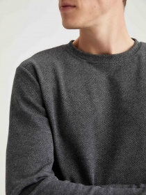 Пуловер DeFacto модель S8196AZ-GR210 Фото