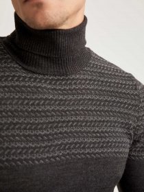 Водолазка DeFacto модель T1044AZ-AR102 Фото