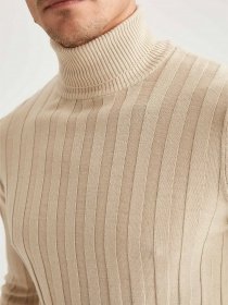 Водолазка DeFacto модель T1049AZ-BG187 Фото