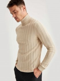 Водолазка DeFacto модель T1049AZ-BG187 Фото