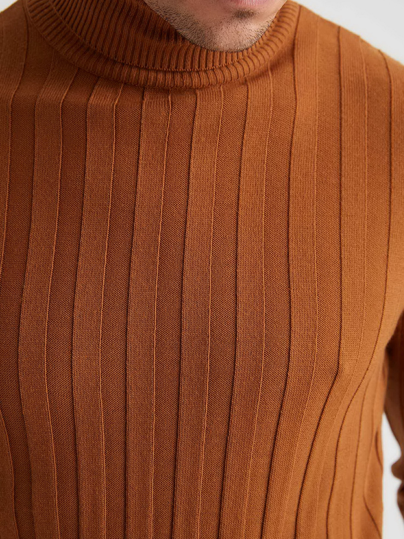 Водолазка DeFacto модель T1049AZ-BN325 Фото