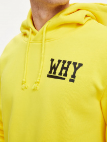 Худі DeFacto модель T1539AZ-YL201 Фото