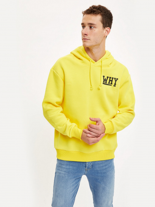 Худі DeFacto модель T1539AZ-YL201 Фото