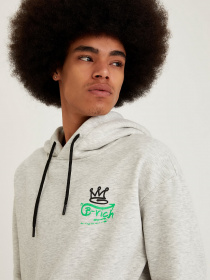 Худи DeFacto модель T7696AZ-GR210 Фото