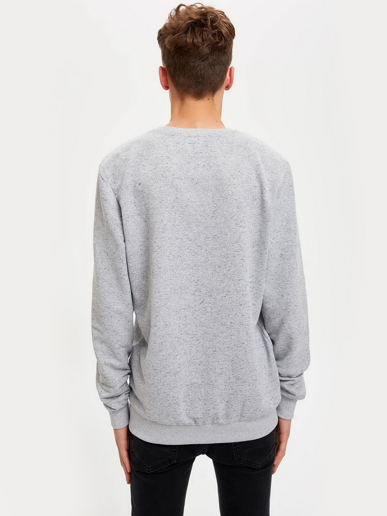 Свитшот DeFacto модель S2178AZ-GR362 Фото