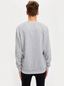Свитшот DeFacto модель S2178AZ-GR362 Фото