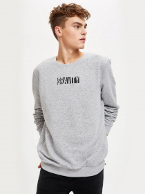 Свитшот DeFacto модель S2178AZ-GR362 Фото