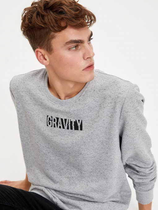 Світшот DeFacto модель S2178AZ-GR362 Фото