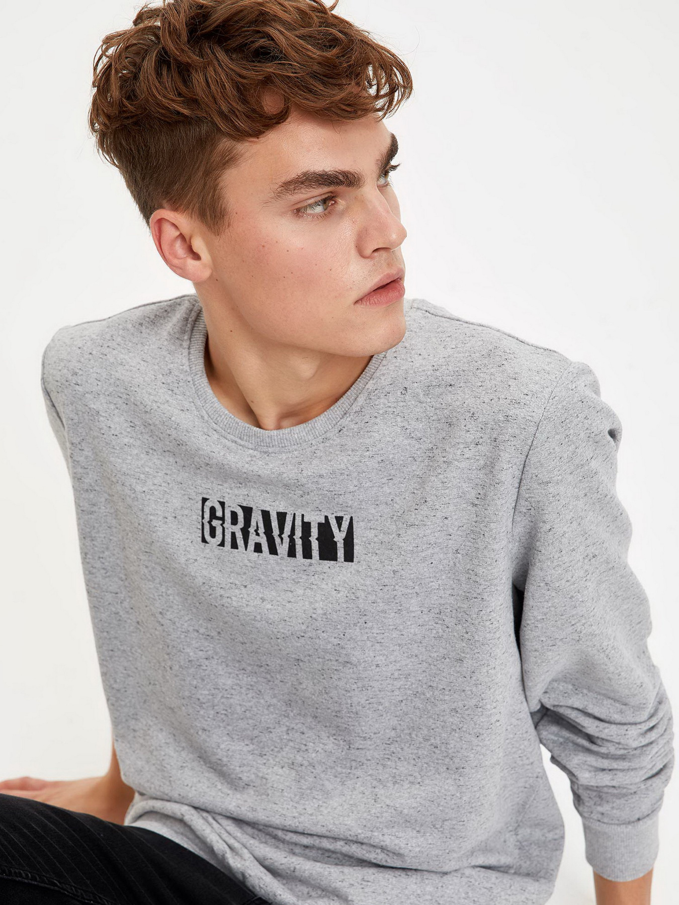 Свитшот DeFacto модель S2178AZ-GR362 Фото