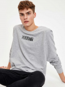 Свитшот DeFacto модель S2178AZ-GR362 Фото