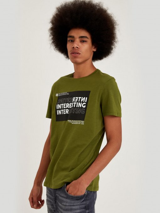 Футболки и поло DeFacto модель T8027AZ-GN154 Фото