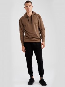 Худи DeFacto модель S9721AZ-KH154 Фото