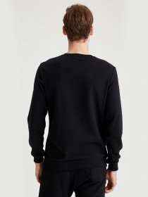 Свитшот DeFacto модель S9141AZ-BK27 Фото