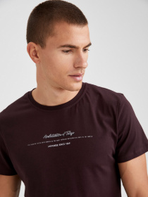 Футболки і поло DeFacto модель S7490AZ-BR175 Фото