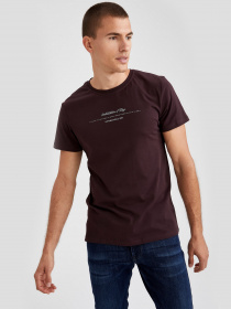 Футболки і поло DeFacto модель S7490AZ-BR175 Фото