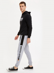 Худи DeFacto модель S7035AZ-BK27 Фото