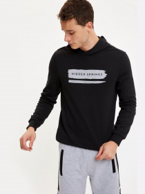 Худи DeFacto модель S7035AZ-BK27 Фото