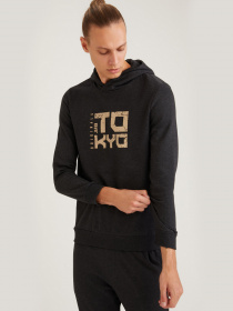 Худи DeFacto модель S7036AZ-AR160 Фото