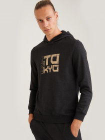 Худи DeFacto модель S7036AZ-AR160 Худи DeFacto модель S7036AZ-AR160 Фото