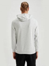 Худи DeFacto модель S8423AZ-GR363 Фото