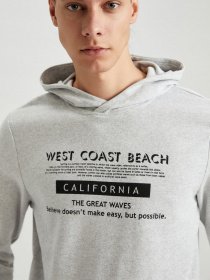 Худи DeFacto модель S8423AZ-GR363 Фото