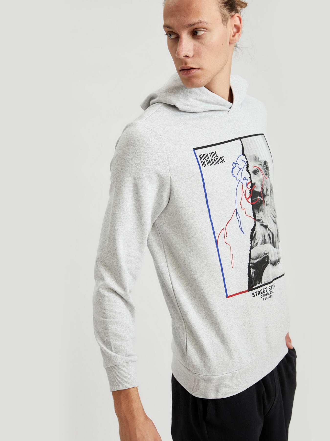 Худи DeFacto модель S8424AZ-GR363 Фото