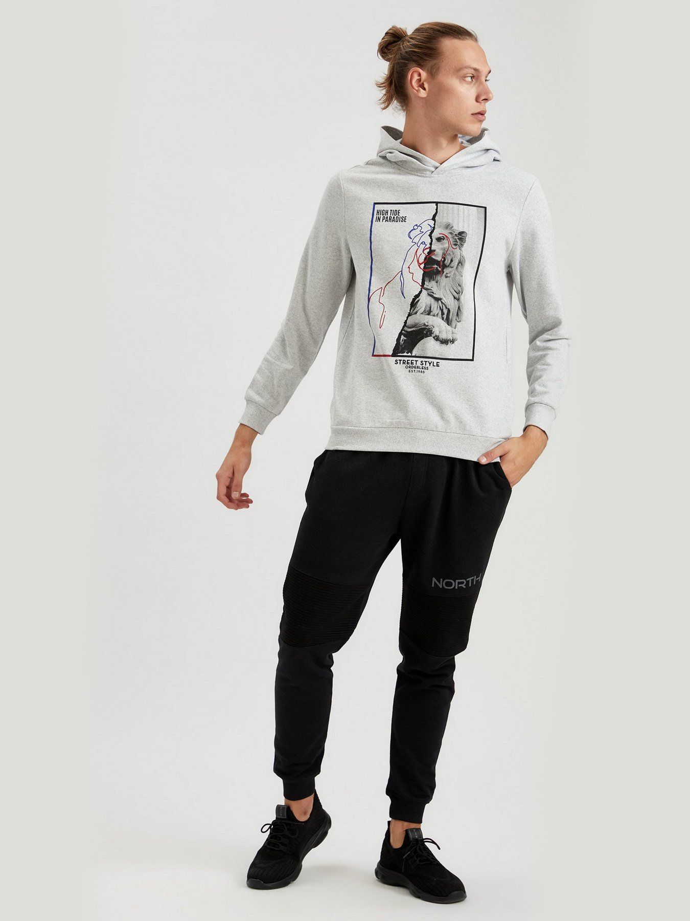 Худи DeFacto модель S8424AZ-GR363 Фото