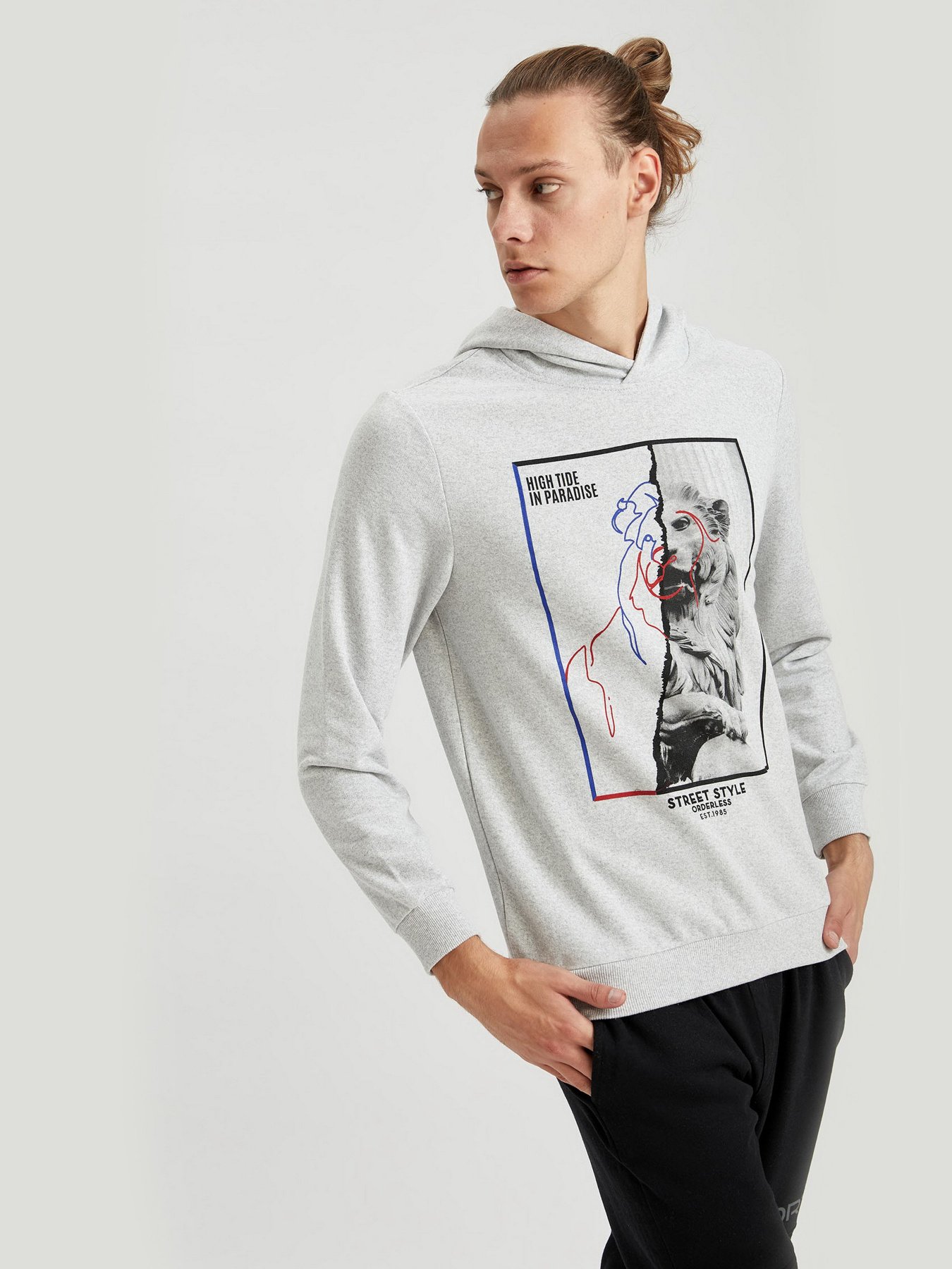 Худи DeFacto модель S8424AZ-GR363 Фото