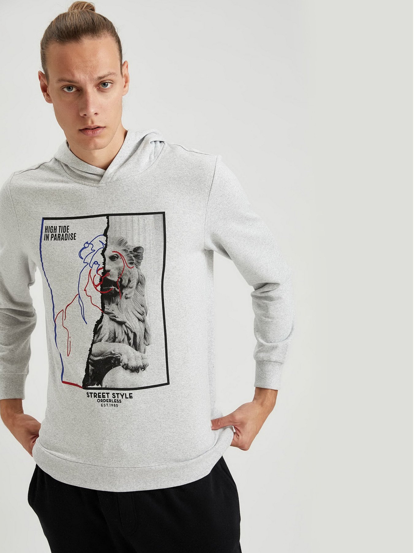 Худи DeFacto модель S8424AZ-GR363 Фото