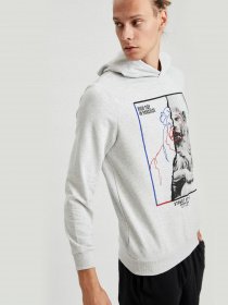 Худи DeFacto модель S8424AZ-GR363 Фото