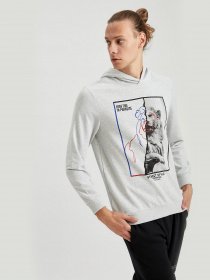 Худи DeFacto модель S8424AZ-GR363 Худи DeFacto модель S8424AZ-GR363 Фото