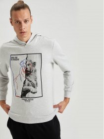 Худи DeFacto модель S8424AZ-GR363 Худи DeFacto модель S8424AZ-GR363 Фото