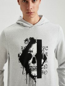 Худи DeFacto модель S8425AZ-GR363 Фото