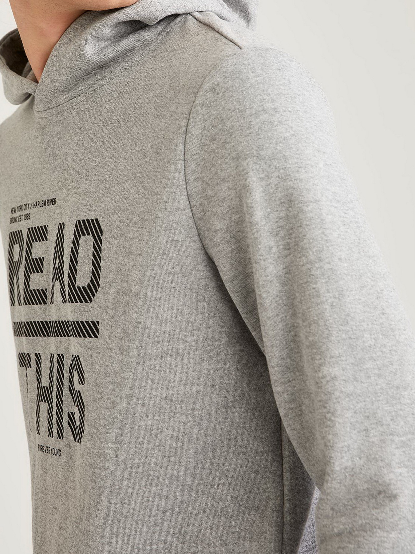 Худи DeFacto модель S8426AZ-GR360 Фото