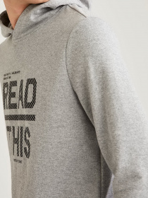 Худи DeFacto модель S8426AZ-GR360 Фото