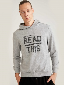 Худи DeFacto модель S8426AZ-GR360 Фото