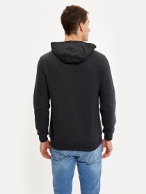 Худи DeFacto модель S8431AZ-AR160 Фото