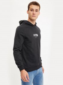 Худи DeFacto модель S8431AZ-AR160 Фото