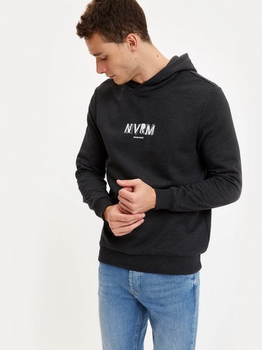 Худі DeFacto модель S8431AZ-AR160 Фото