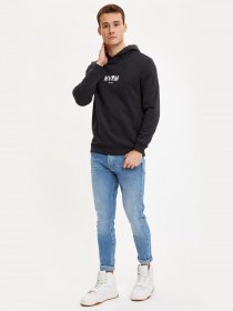 Худи DeFacto модель S8431AZ-AR160 Фото