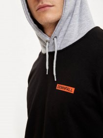 Худи DeFacto модель S8036AZ-BK27 Фото