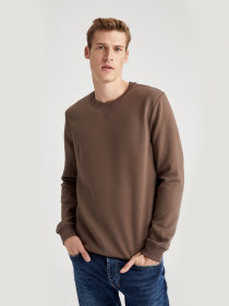 Свитшот DeFacto модель T3777AZ-BN482 Фото