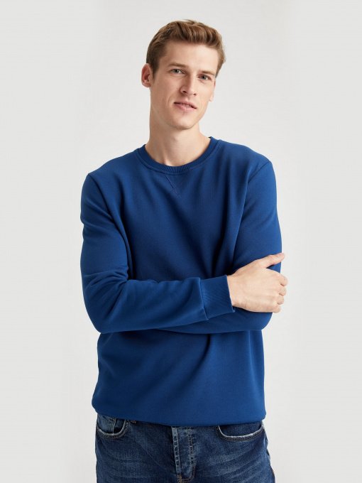 Свитшот DeFacto модель T3777AZ-BE701 Фото