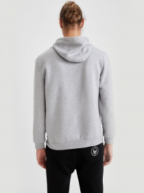 Худі DeFacto модель T5607AZ-GR362 Фото