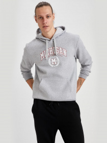 Худі DeFacto модель T5607AZ-GR362 Фото