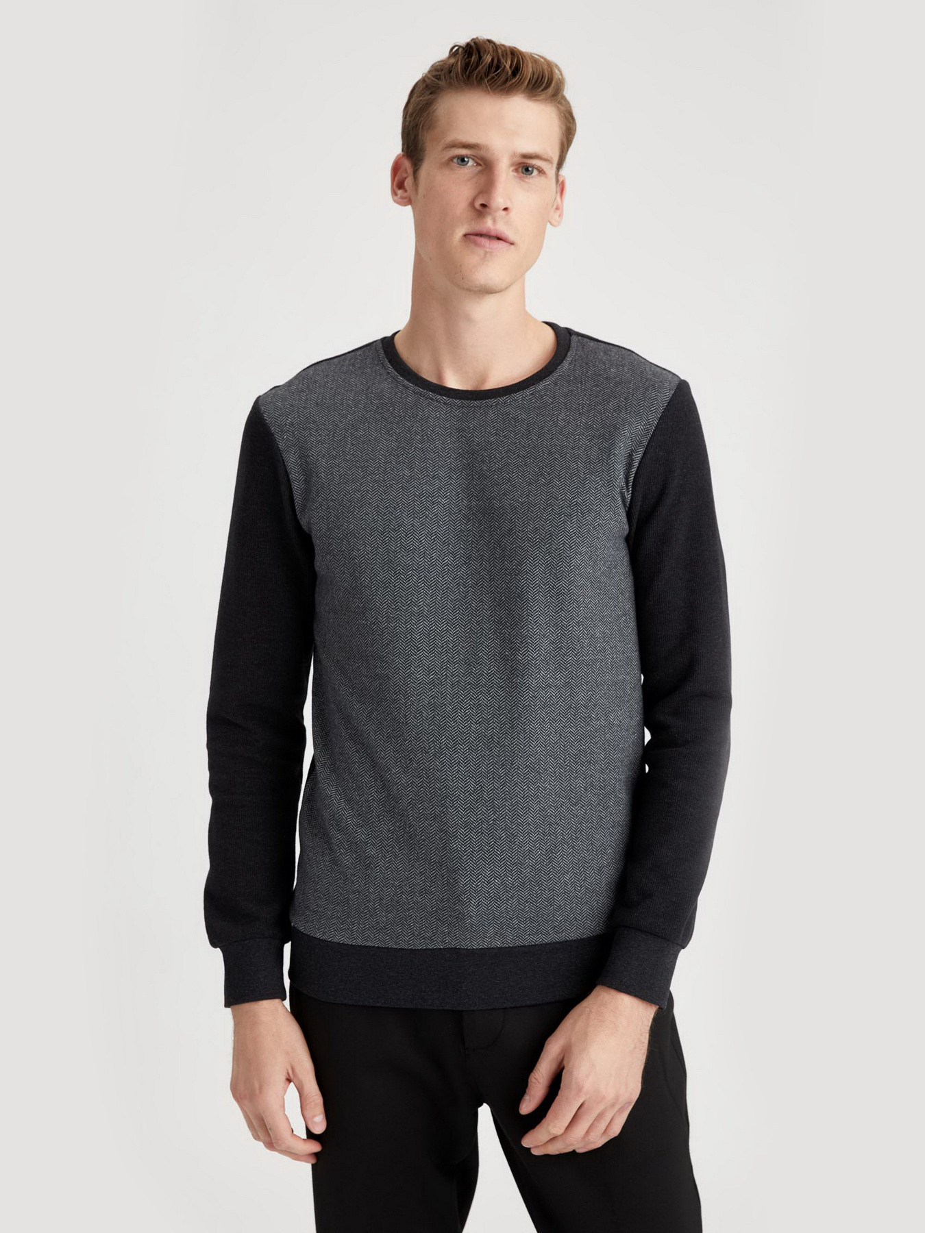 Свитшот DeFacto модель T2163AZ-AR102 Фото