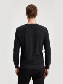 Свитшот DeFacto модель T2163AZ-AR102 Фото